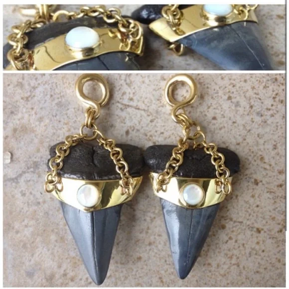 RARE Diablo Organics Megalodon Teeth
Weights Opalite - Picture 1 of 1